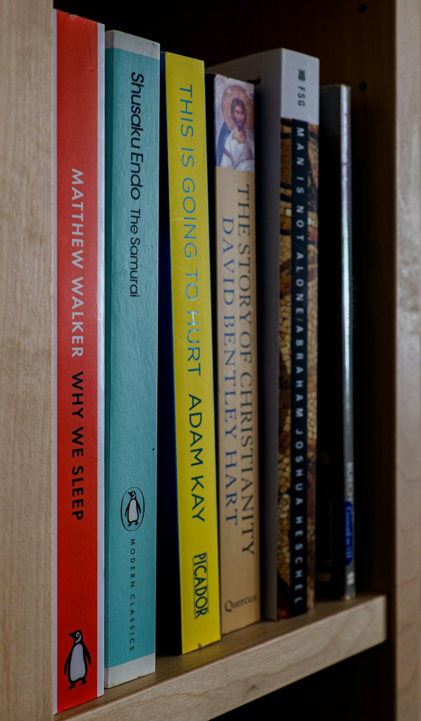 Colorful books arranged neatly on a wooden bookshelf.